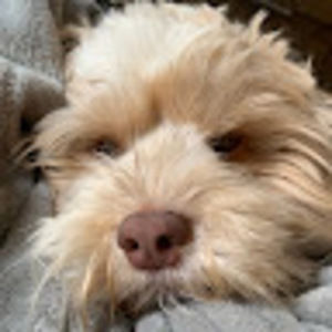 Meet your Posher, Faith